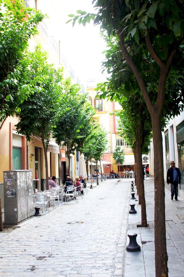 Plaza Nueva Terraza Appartement Sevilla Buitenkant foto